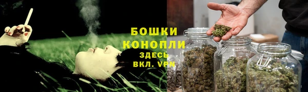 амф Белокуриха
