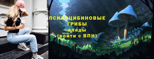 амф Белокуриха