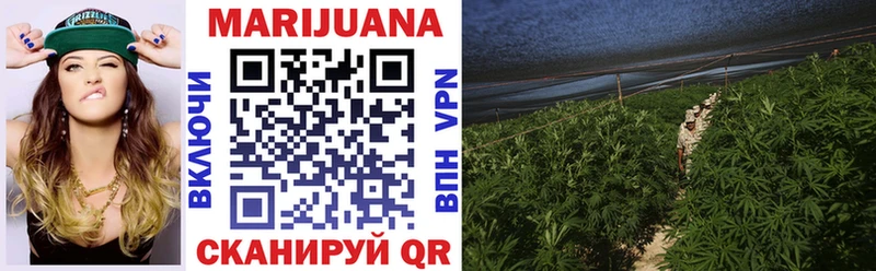 купить наркоту  Курчатов  Марихуана Amnesia 